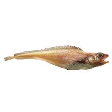 Limonella риба - ползите и вредите