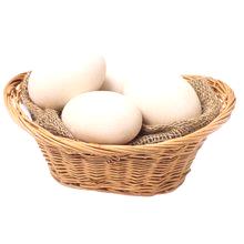 Guska jaja: koristi i štete za tijelo