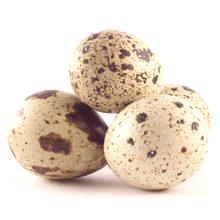 Jajca prepelic: koristne lastnosti in škoda