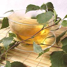 Čaj iz breze listov: koristi in škode