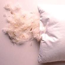 Perje jastuci: što je štetno i korisno