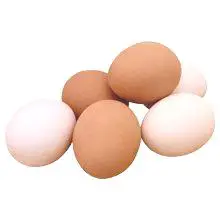 Koristi in možna škoda piščančjih jajc za ljudi