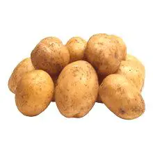 Krumpir: koristi i šteta za ljudsko zdravlje