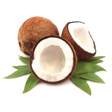 Kaj je koristno in kaj je škodljiv kokos za telo