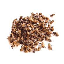 Bee submor: полза, вреда и как да се вземат
