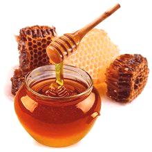 Ajdov med - kaj je koristno in kaj škodljivo