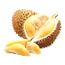 Durian - koristi i šteti tijelu