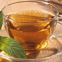Čaj iz listov jagod: koristi in možne škode