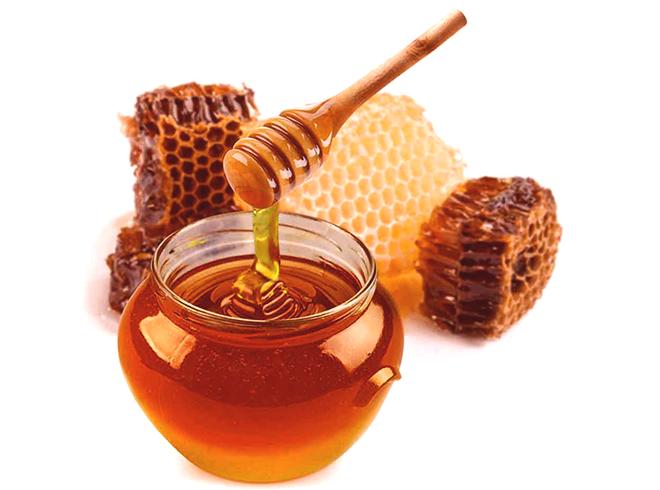 Ajdov med - kaj je koristno in kaj škodljivo - Koristi in škoda