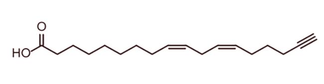Linolenska kiselina