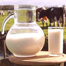 Полезни свойства и вреда на прясното мляко