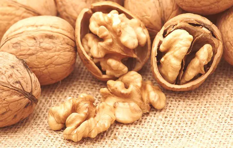 Орехи: ползите и вредите за организма - Полза и вреда