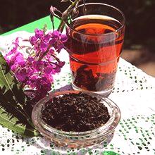 Koporsky чай - ползите и вредата