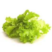 Lišće salate: zdravstvene prednosti