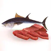 Риба тон: полезни свойства и какво може да бъде вредно