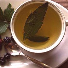 Чай от листа от къпини: полза и вреда