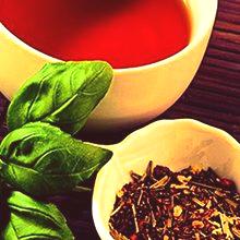 Čaj s bosiljkom: što je korisno i što štetno