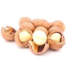 Macadamia oreh - koristi in škodo za telo